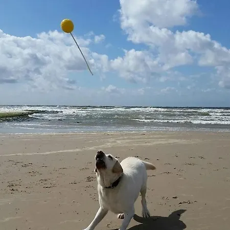 In יוליאנאדורפ